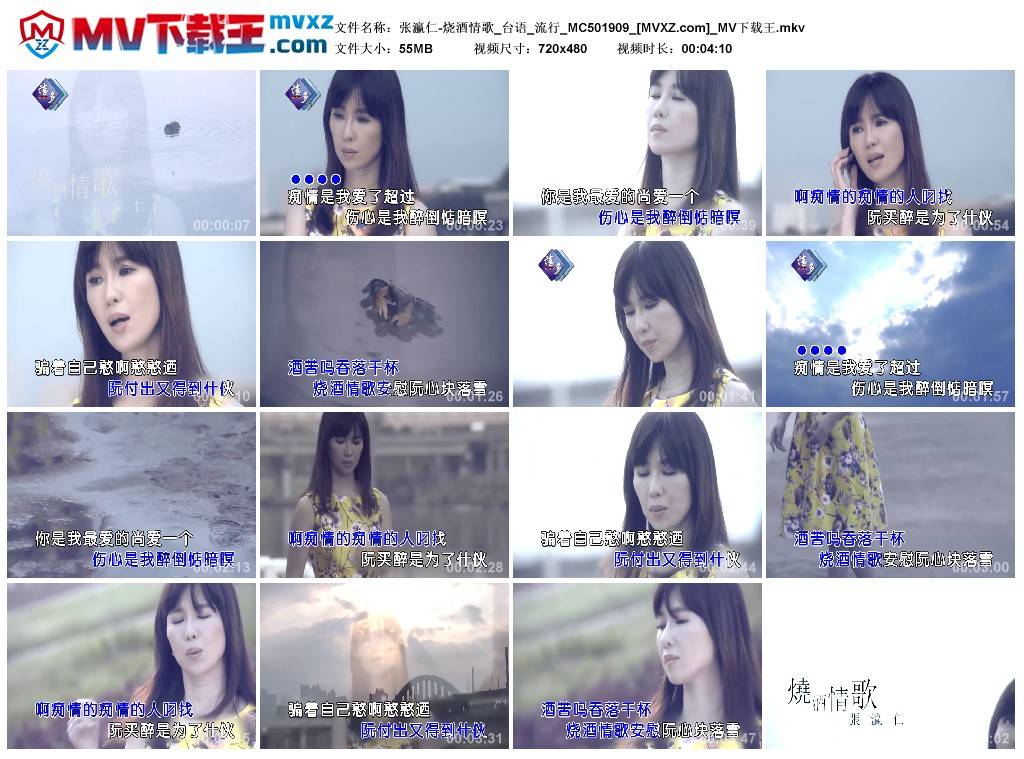 张瀛仁-烧酒情歌_台语_流行_MC501909